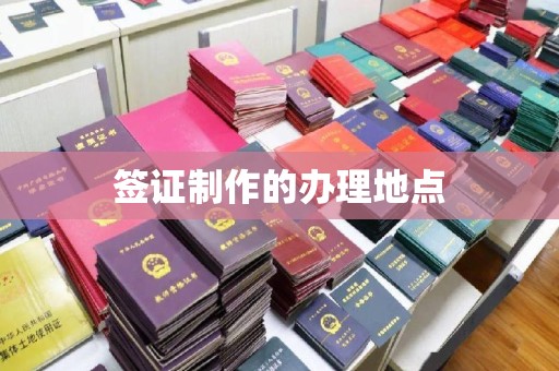 龙山签证制作的办理地点