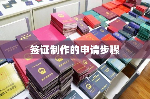 龙山签证制作的申请步骤