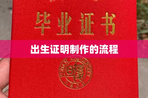 龙山出生证明制作的流程