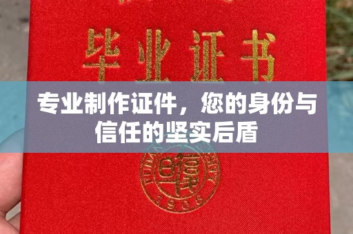 龙山专业制作证件，您的身份与信任的坚实后盾