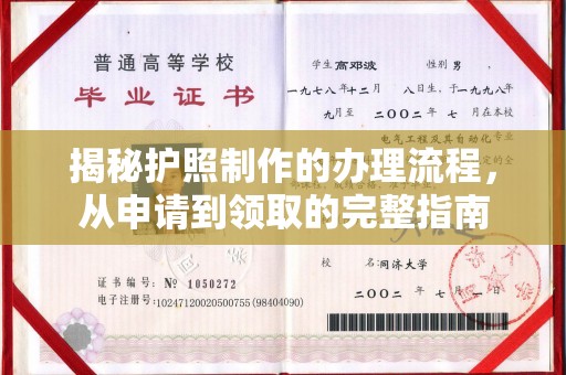 龙山揭秘护照制作的办理流程，从申请到领取的完整指南