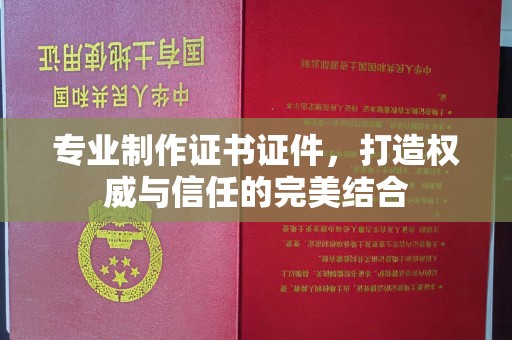 龙山专业制作证书证件，打造权威与信任的完美结合