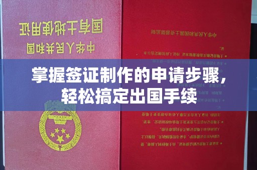 龙山掌握签证制作的申请步骤，轻松搞定出国手续