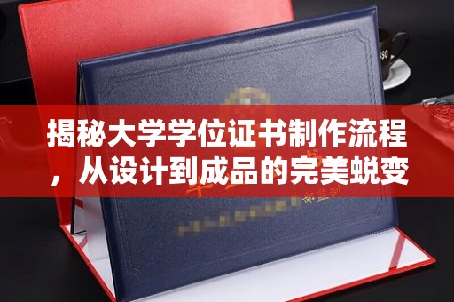 龙山揭秘大学学位证书制作流程，从设计到成品的完美蜕变