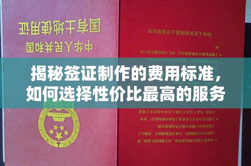 龙山揭秘签证制作的费用标准，如何选择性价比最高的服务？