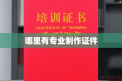龙山哪里有专业制作证件