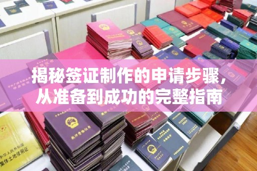 龙山揭秘签证制作的申请步骤，从准备到成功的完整指南