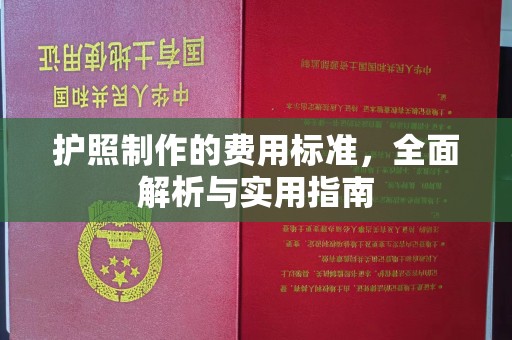 龙山护照制作的费用标准，全面解析与实用指南