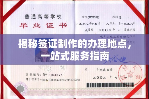 龙山揭秘签证制作的办理地点，一站式服务指南