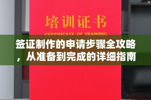 龙山签证制作的申请步骤全攻略，从准备到完成的详细指南